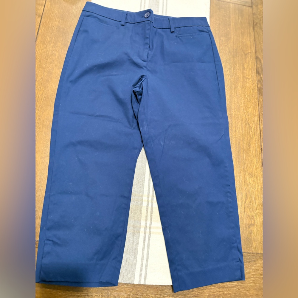 Talbots Blue Ankle Cropped Pants